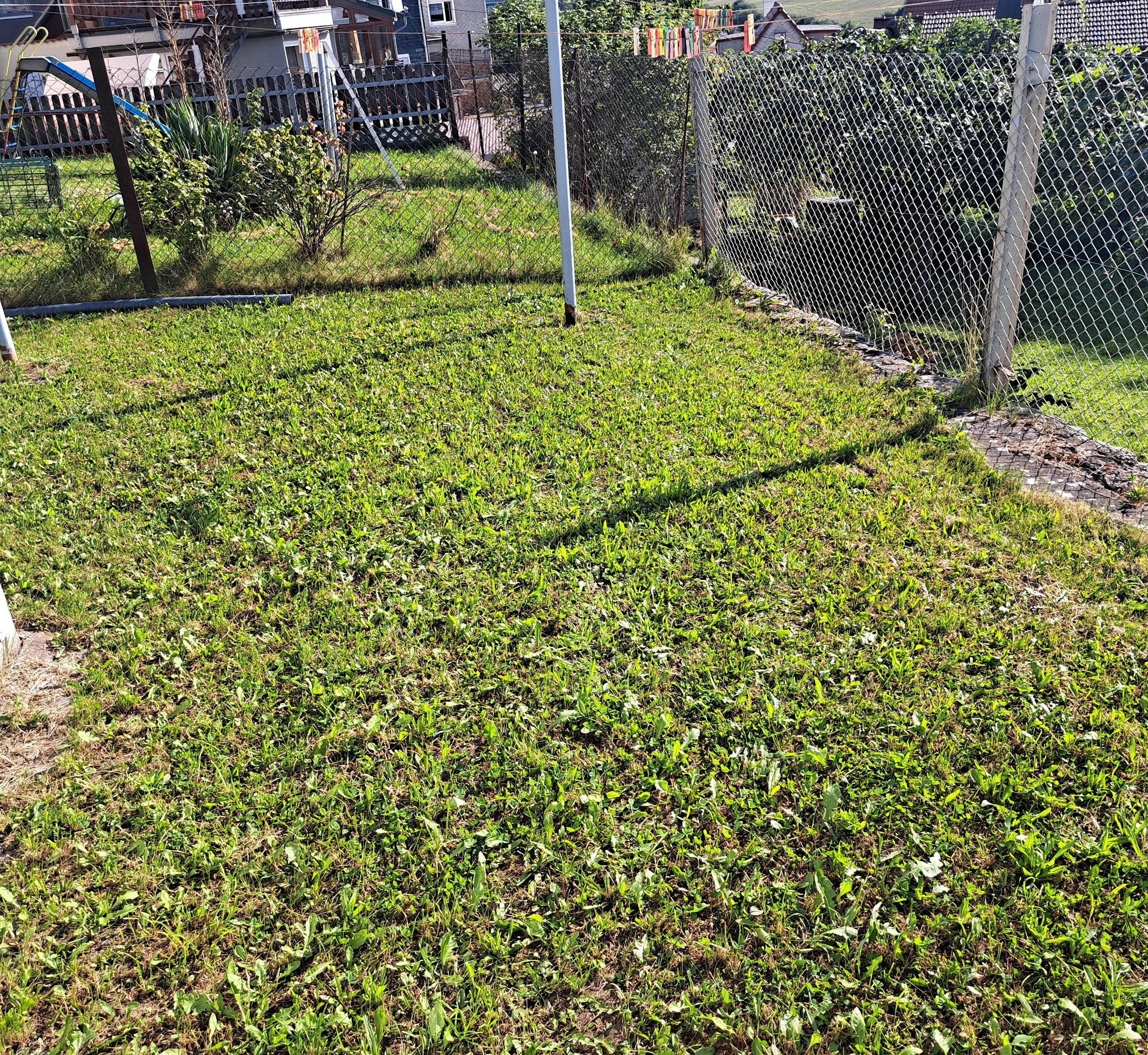 geschwenda - geschwenda-4.jpg