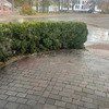 img - img_9862.jpg